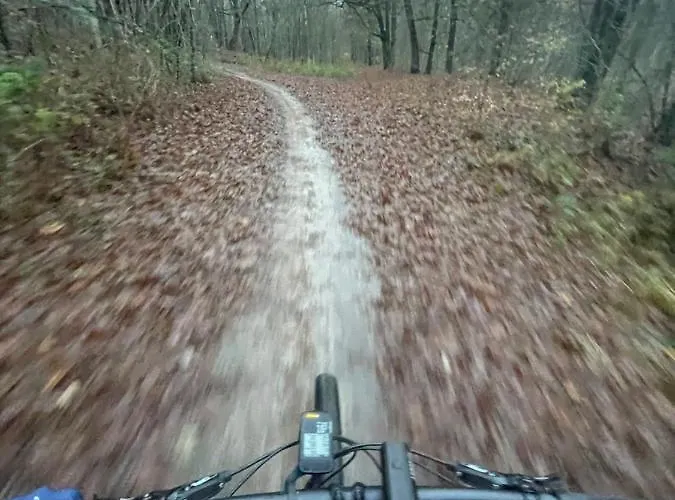 Szálloda Boutique Bed&bos 4*