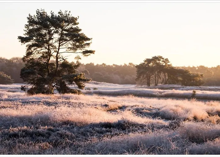 Boutique Bed&bos Szálloda 4*