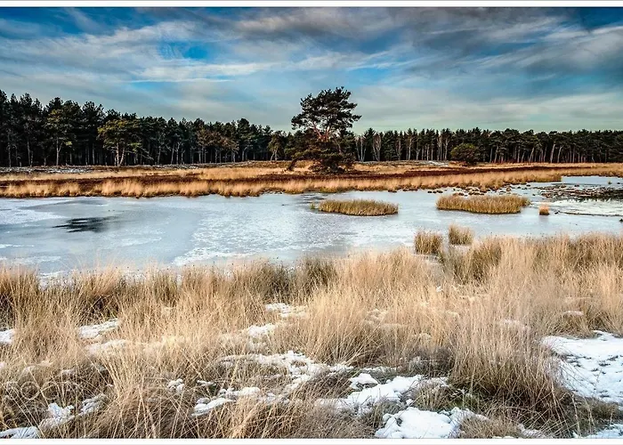 Boutique Bed&bos Szálloda